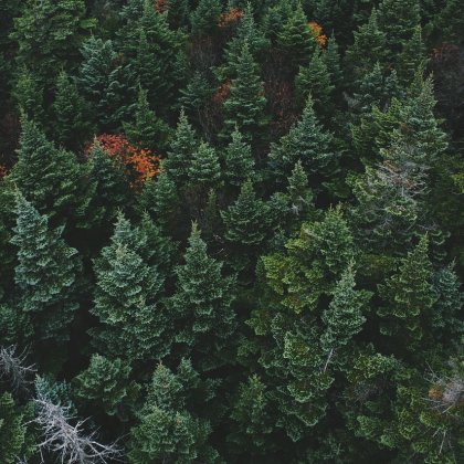 Evergreen & Privacy